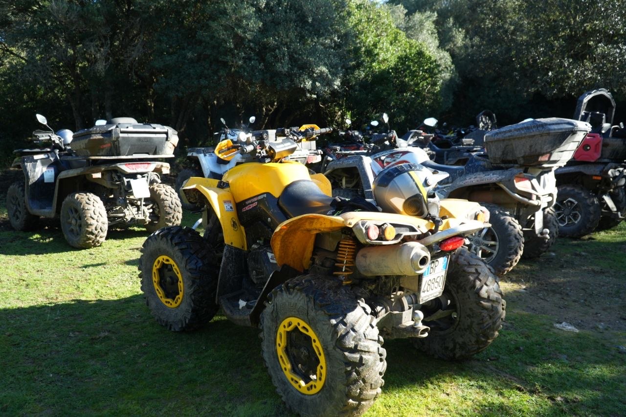 Quad parcheggiati nel bosco durante la sosta
