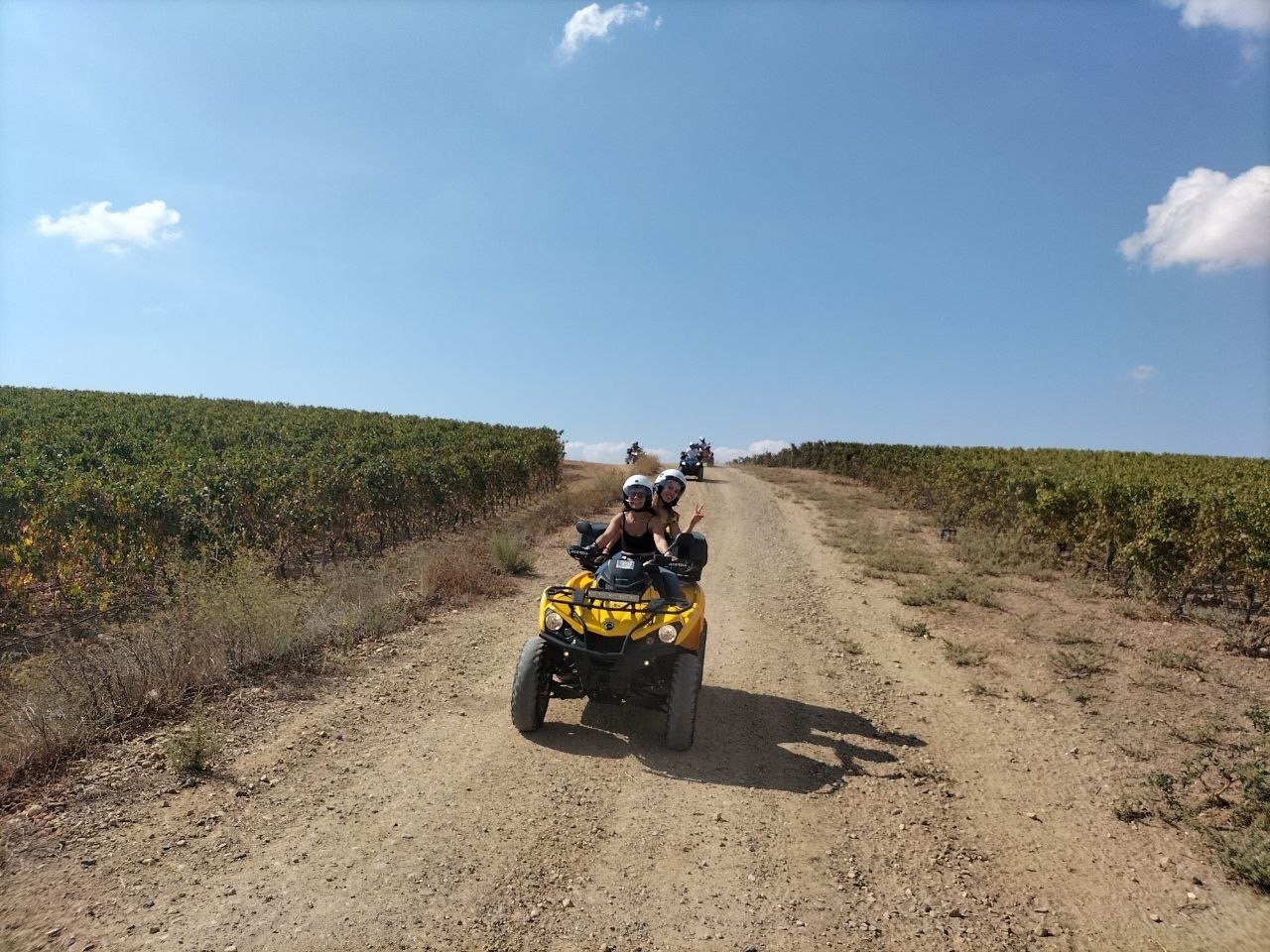 Quad tra i filari di vigna sotto il cielo azzurro